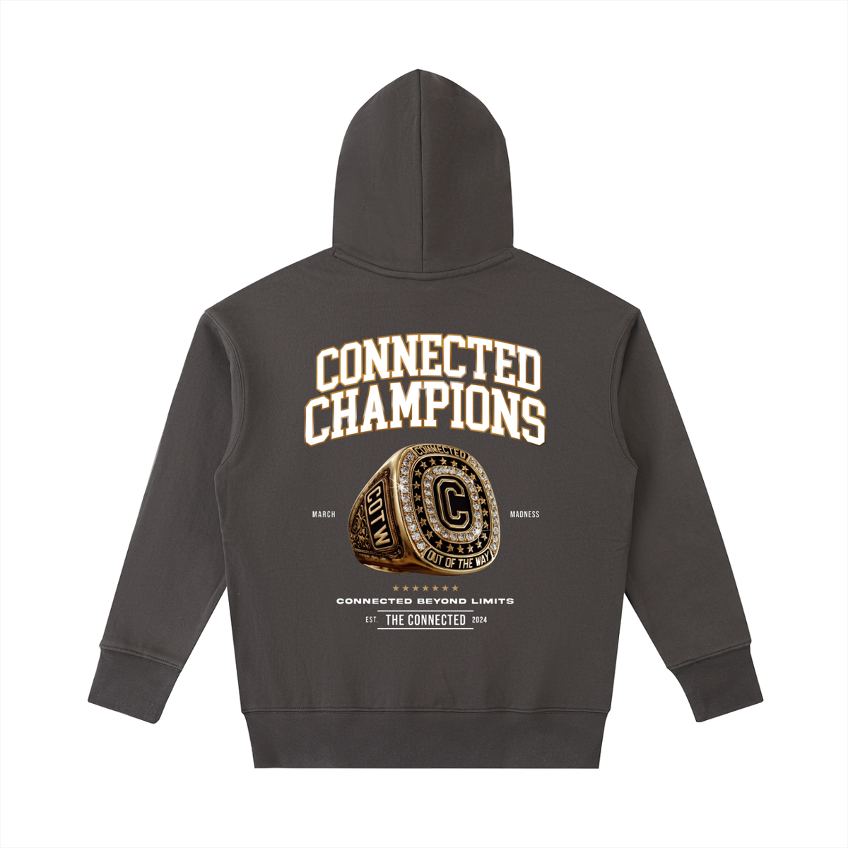Connected Champions-Heavyweight Hoodie