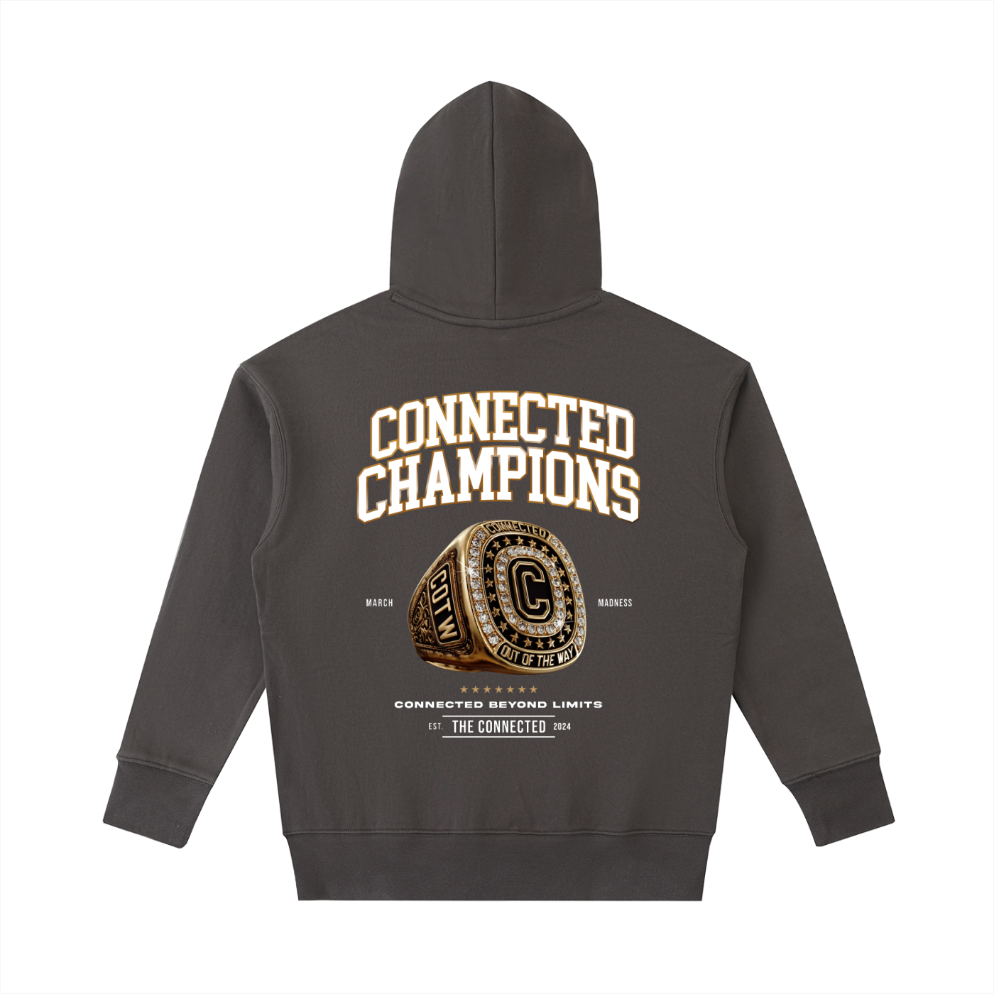 Connected Champions-Premium Heavyweight Hoodie