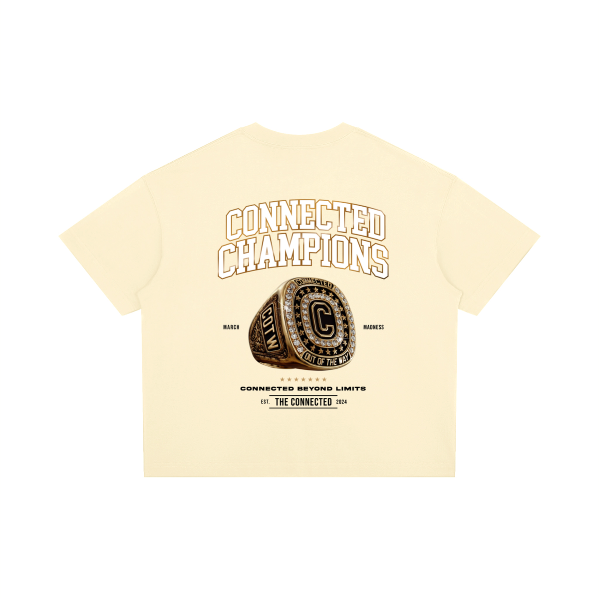 Connected Champions-Heavyweight Boxy Tee