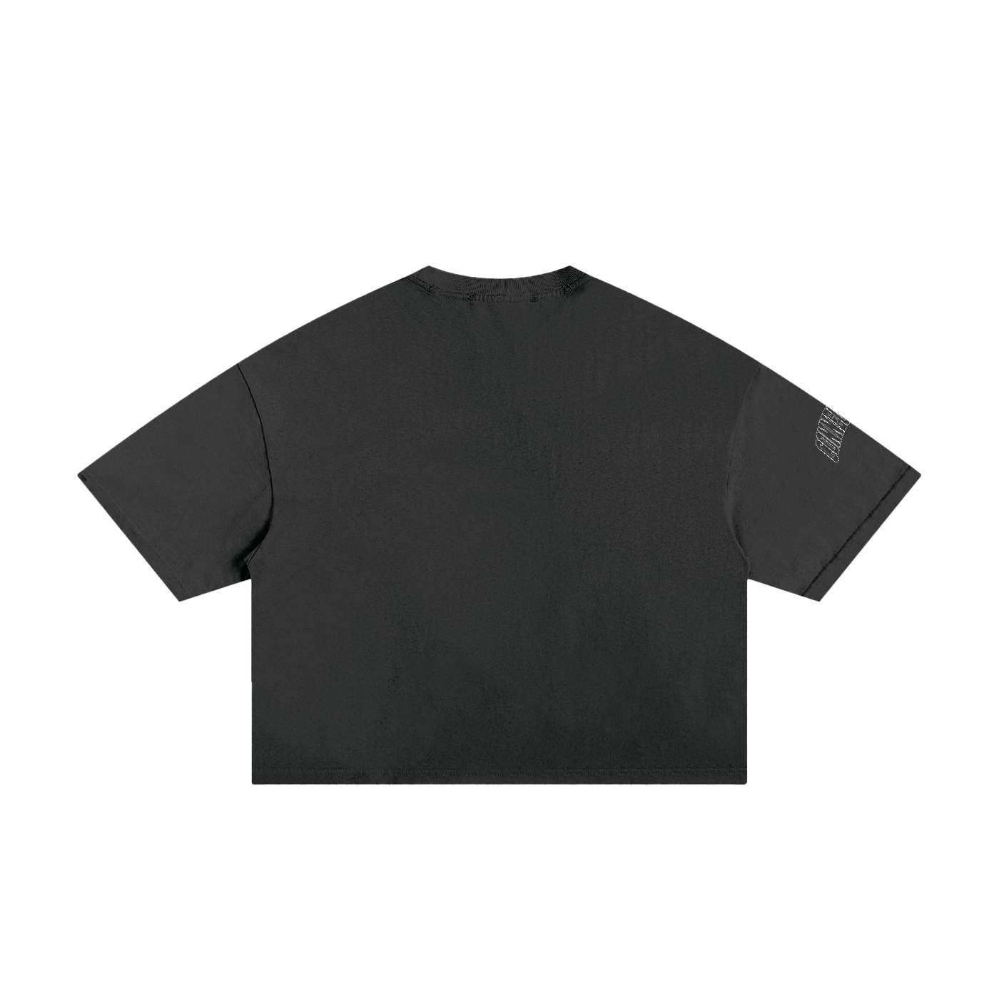 Distressed  Cropped Boxy Tee