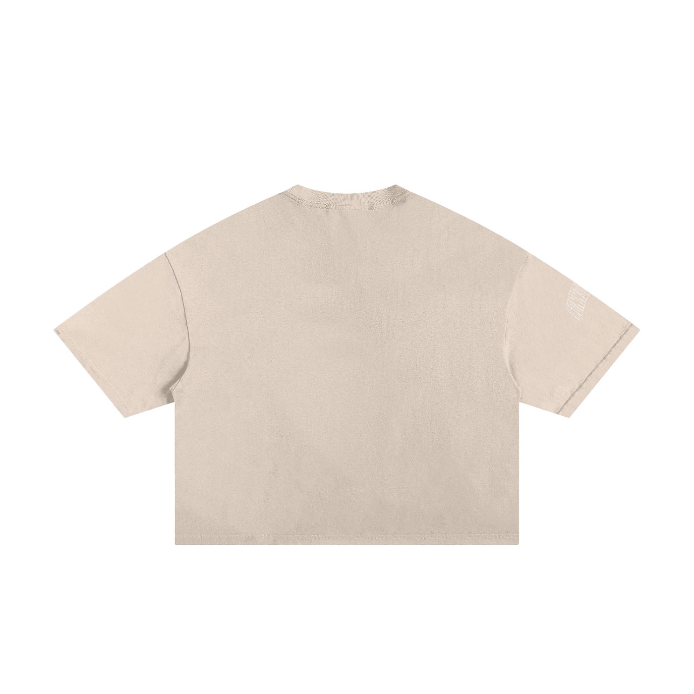 Distressed  Cropped Boxy Tee