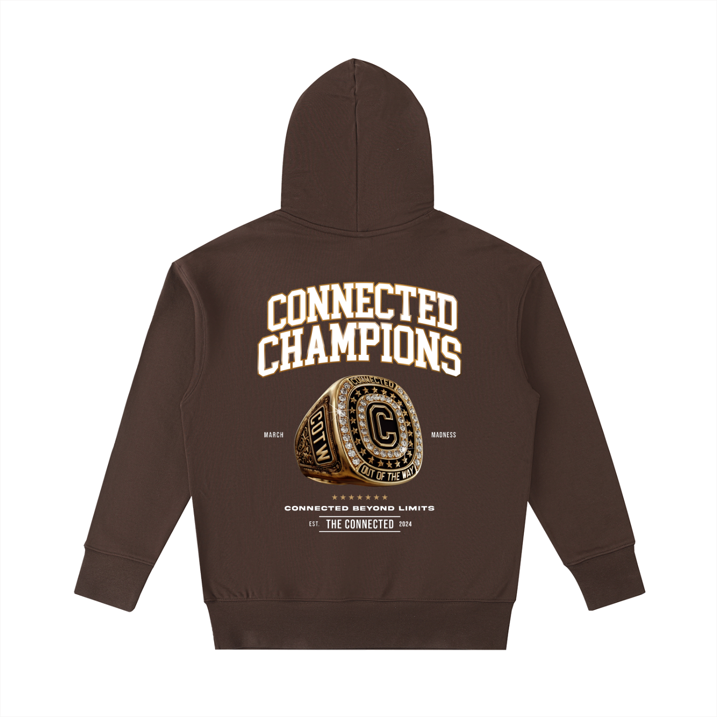 Connected Champions-Premium Heavyweight Hoodie