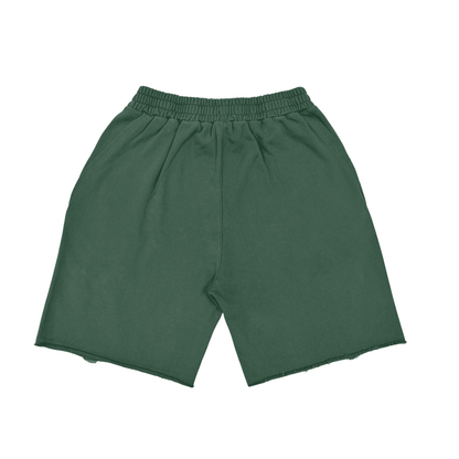 Vintage Washed Tiger Striped Shorts