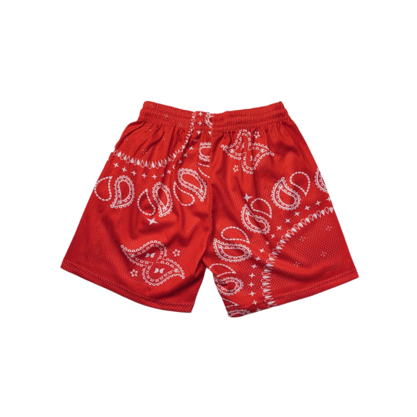 Polyester Paisley Print Shorts